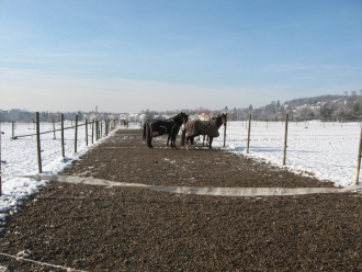 Winterauslauf